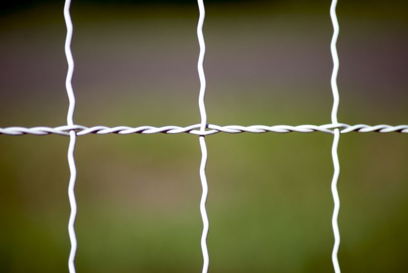 Chicken Wire Fencing