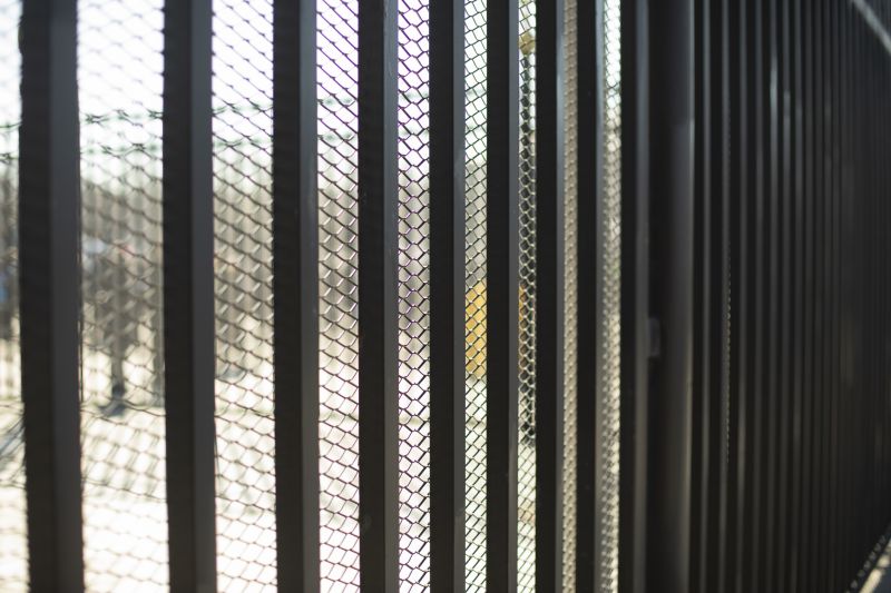 Close-up of Chicken Wire Mesh