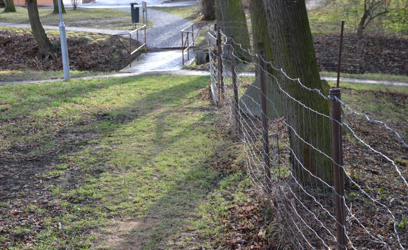 Chicken Wire Fencing