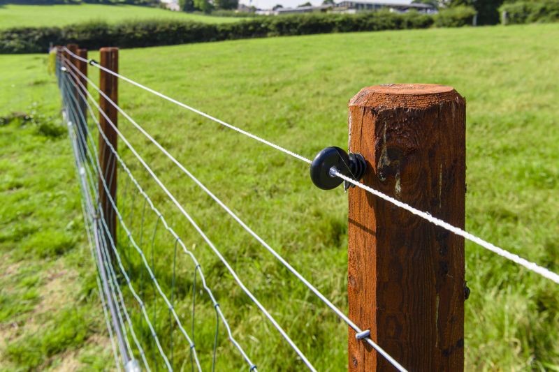 Cost of Chicken Wire Fencing — Cost of Chicken Wire Fencing