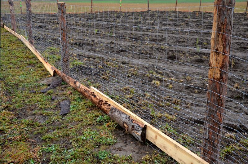 Cost of Chicken Wire Fencing — Cost of Chicken Wire Fencing