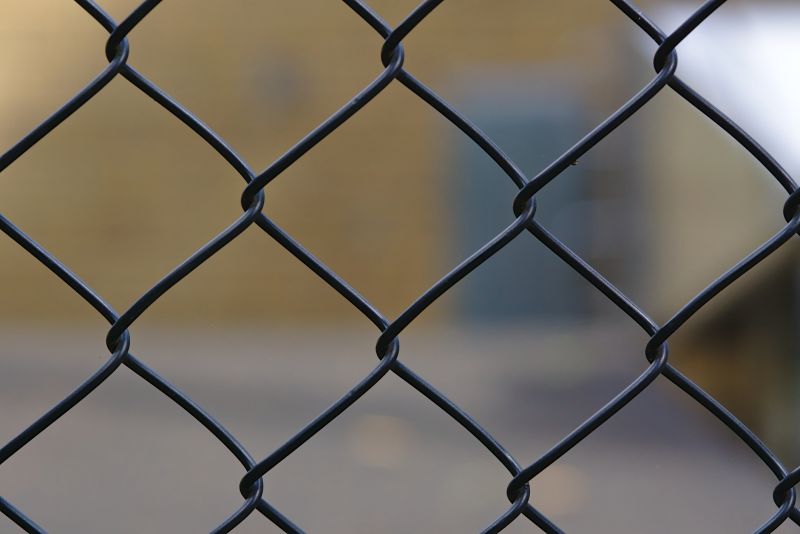 Products For Chicken Wire Fencings in use